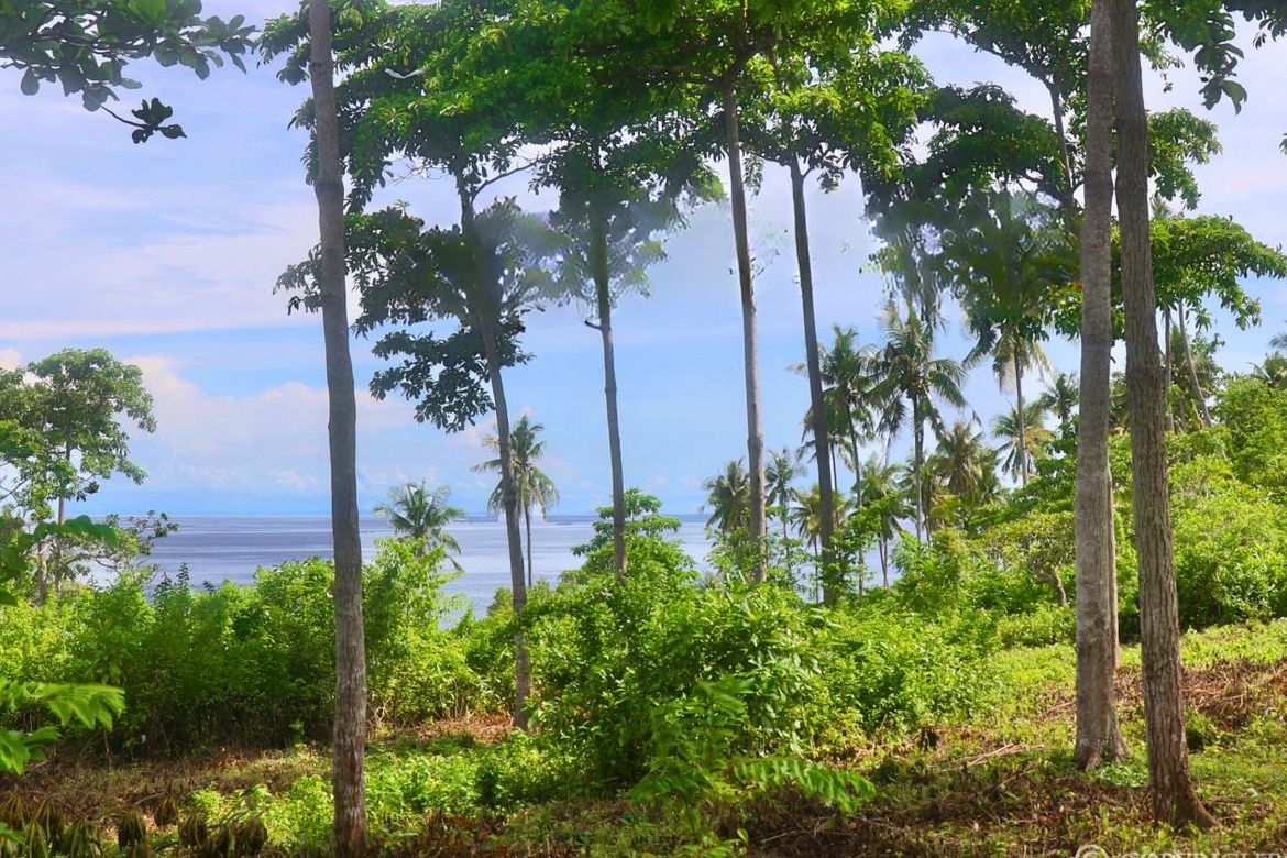 Land for Sale in Southern Poblacion, San Francisco, Cebu – photo 4
