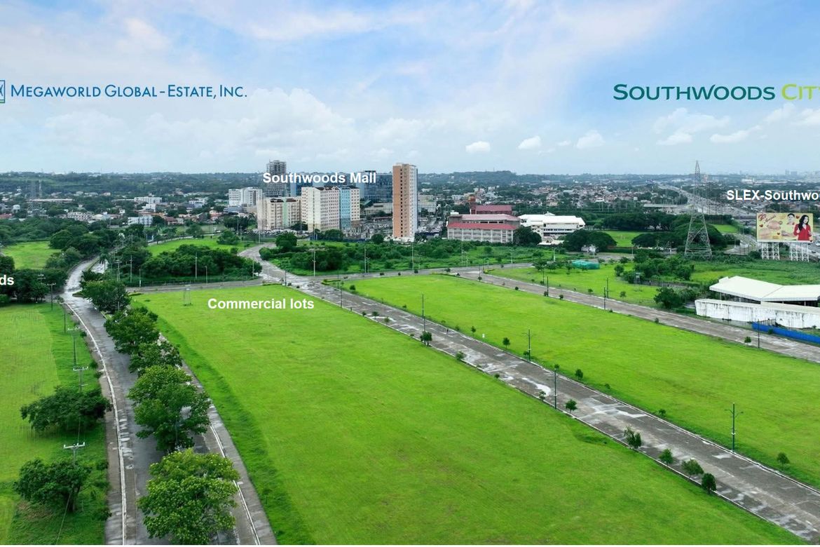 Land for Sale in Southwoods Ecocentrum, Soro-Soro, Biñan, Laguna – photo 3