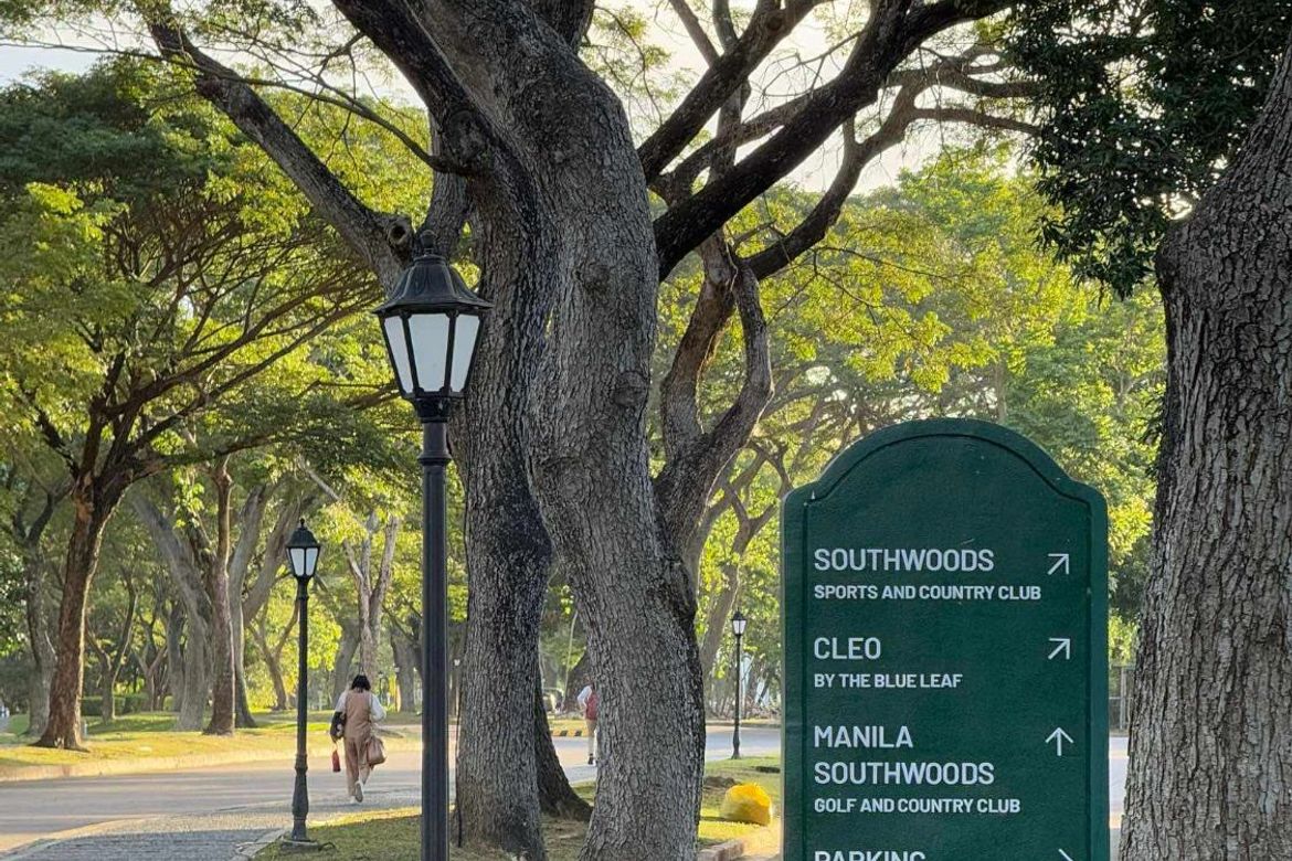 Land for Sale in Southwoods Mall, San Francisco, Biñan, Laguna – photo 4