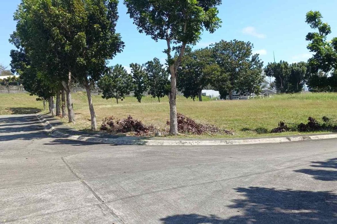 Land for Sale in Southwoods Mall, San Francisco, Biñan, Laguna – photo 2