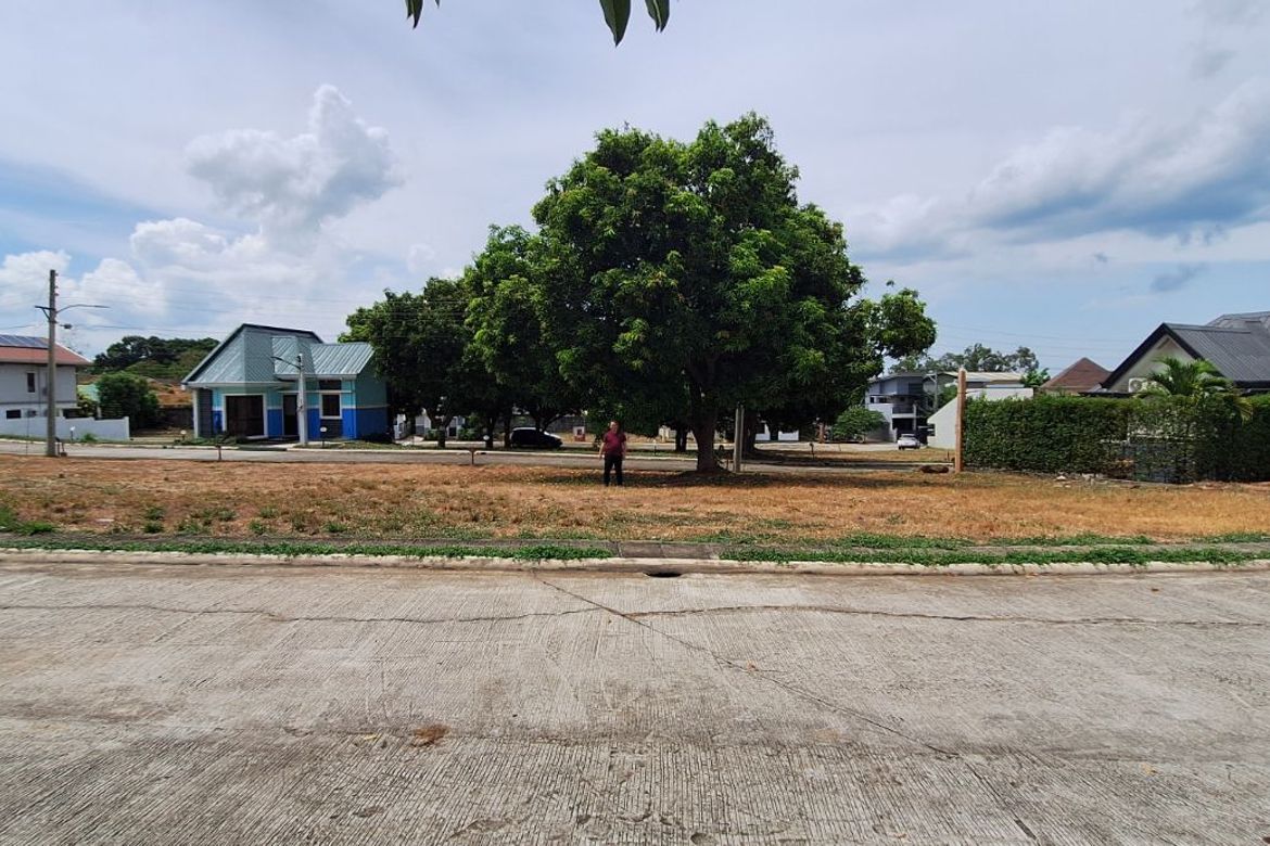 Land for Sale in St. Francis II, Limay, Bataan – photo 3