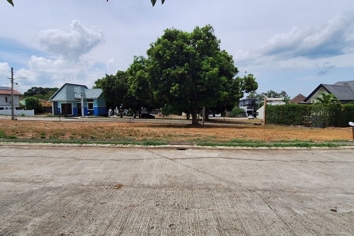 Land for Sale in St. Francis II, Limay, Bataan – photo 5