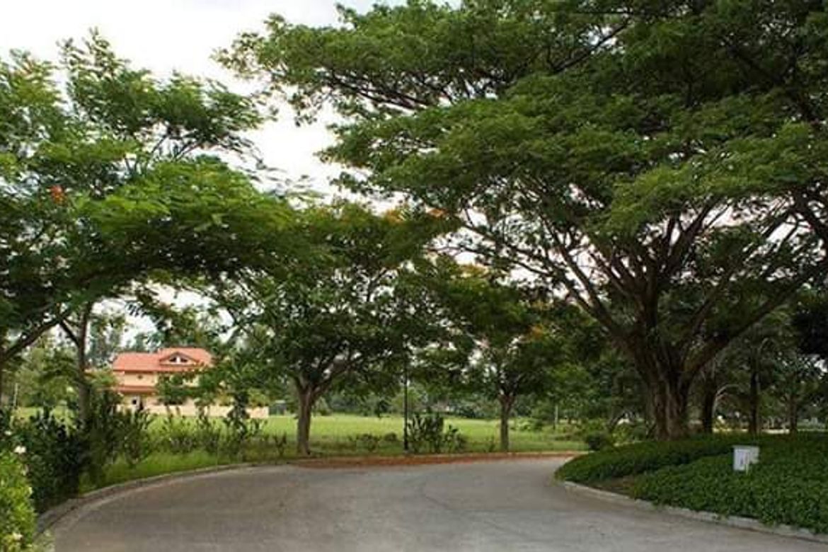 Land for Sale in Stonecrest, San Antonio, San Pedro, Laguna