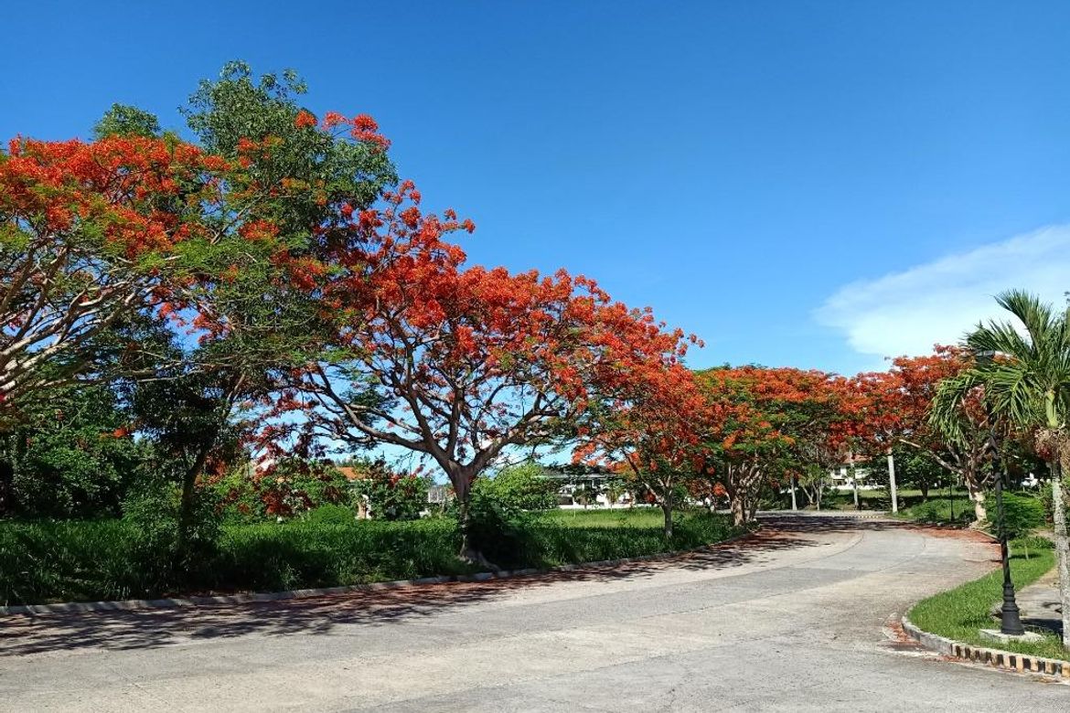 Land for Sale in Stonecrest, San Antonio, San Pedro, Laguna – photo 3