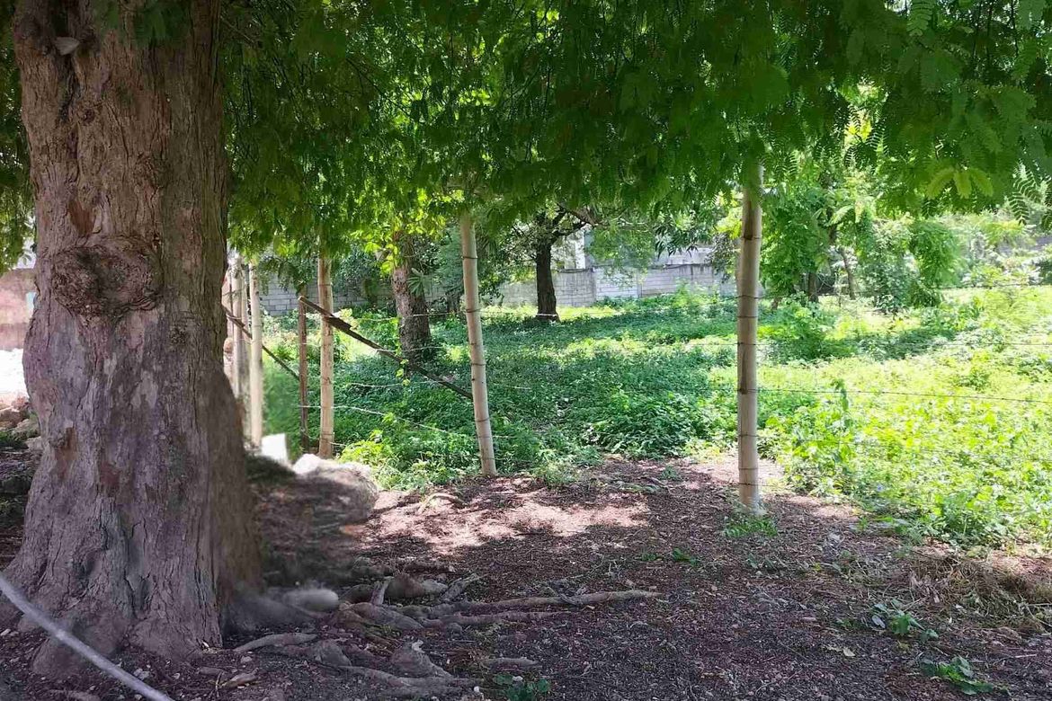 Land for Sale in Subabasbas, Lapu-Lapu, Cebu – photo 6