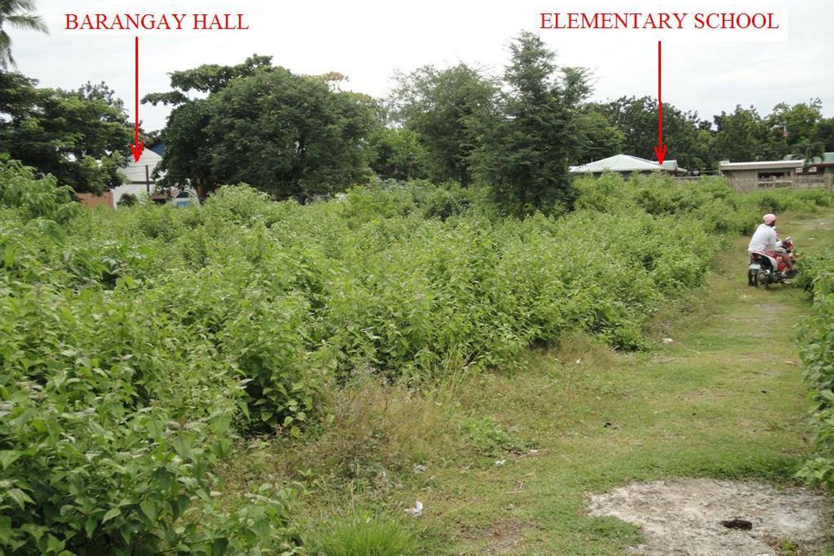 Land for Sale in Subabasbas, Lapu-Lapu, Cebu