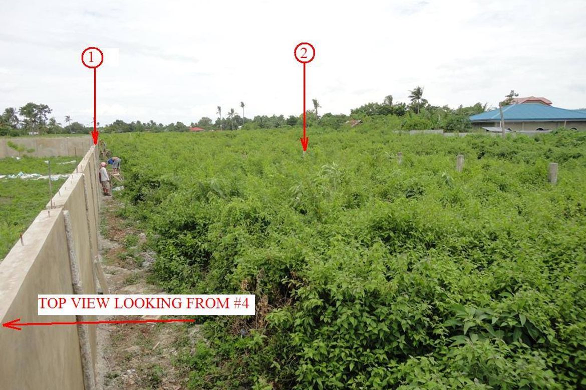 Land for Sale in Subabasbas, Lapu-Lapu, Cebu – photo 2