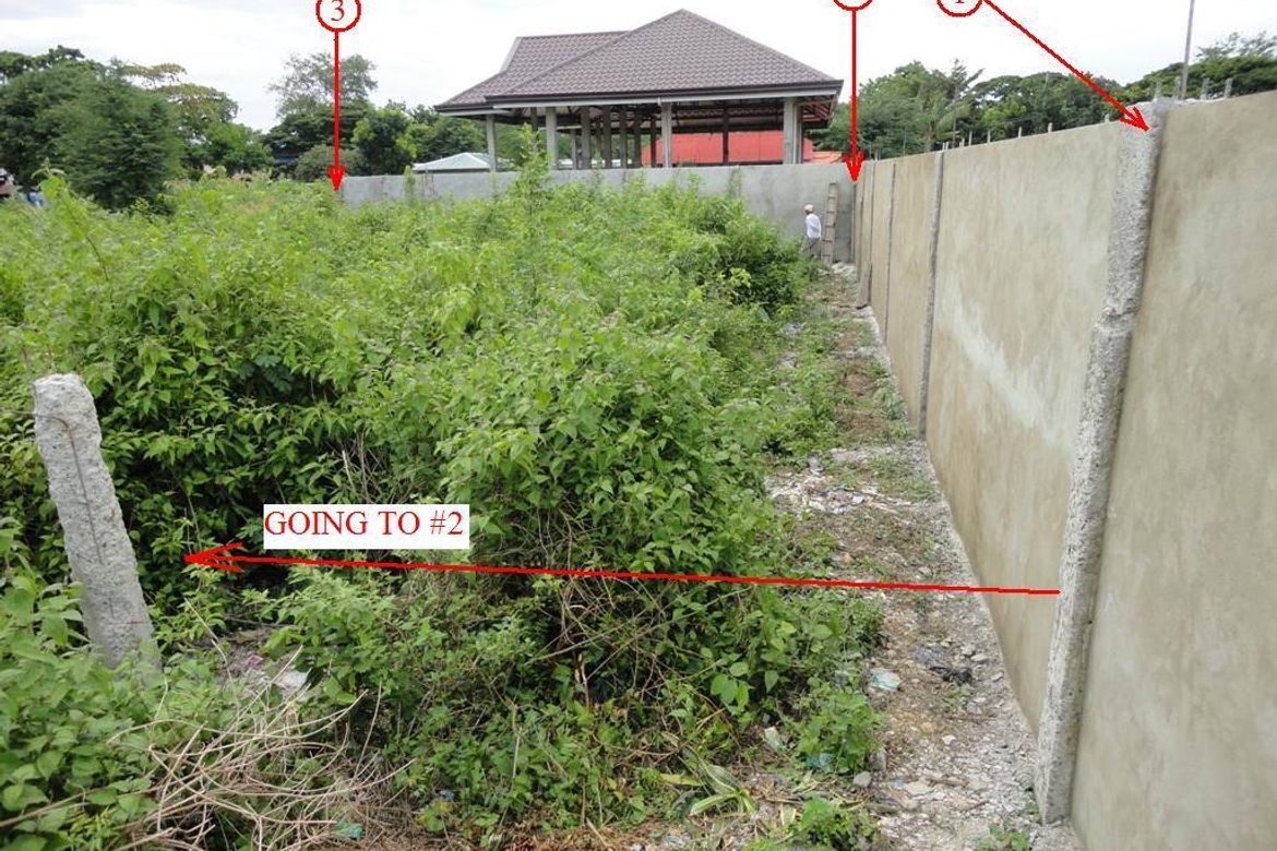 Land for Sale in Subabasbas, Lapu-Lapu, Cebu – photo 3