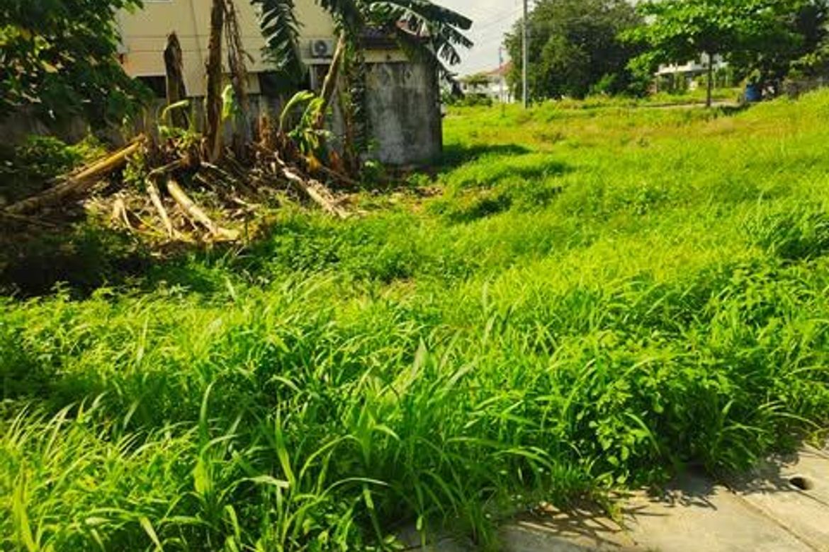 Land for Sale in Subabasbas, Lapu-Lapu, Cebu – photo 6