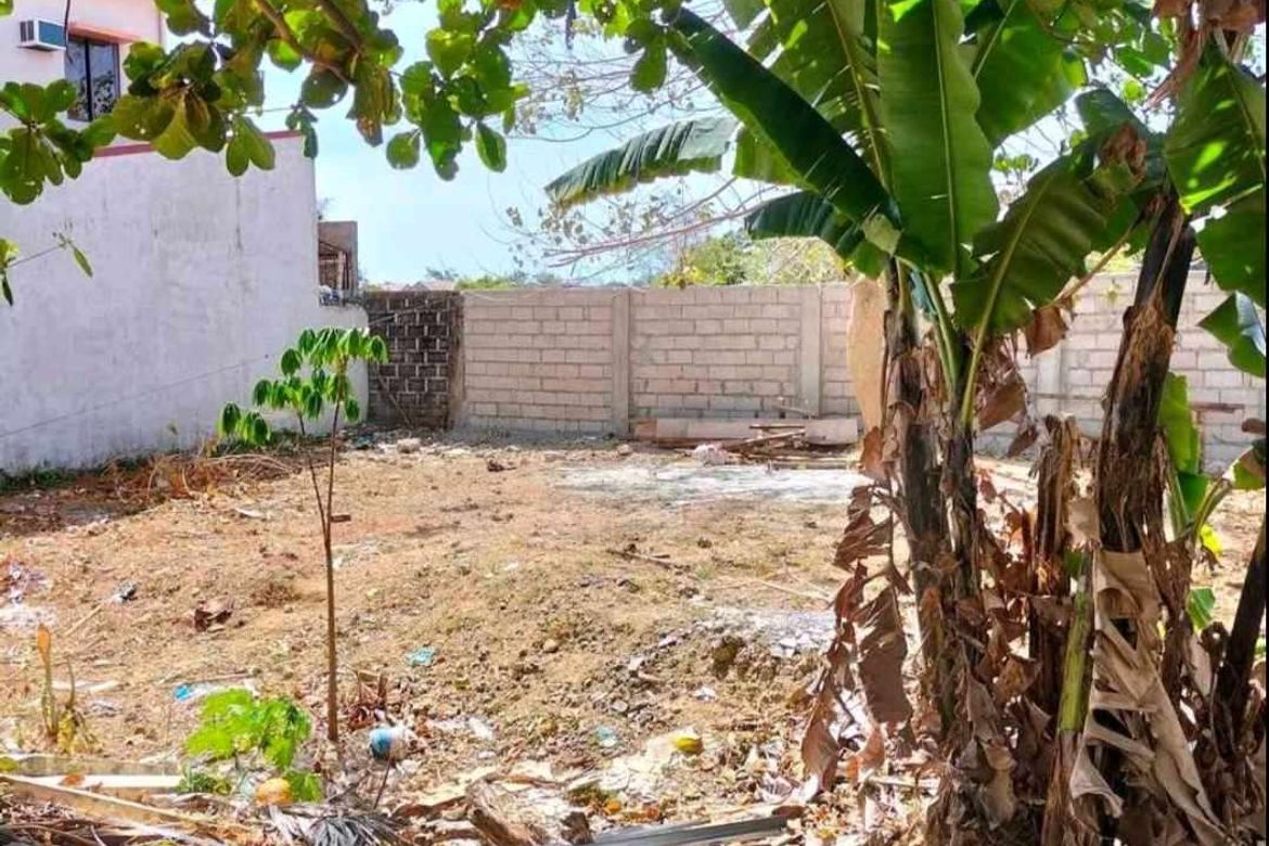Land for Sale in Subabasbas, Lapu-Lapu, Cebu – photo 2