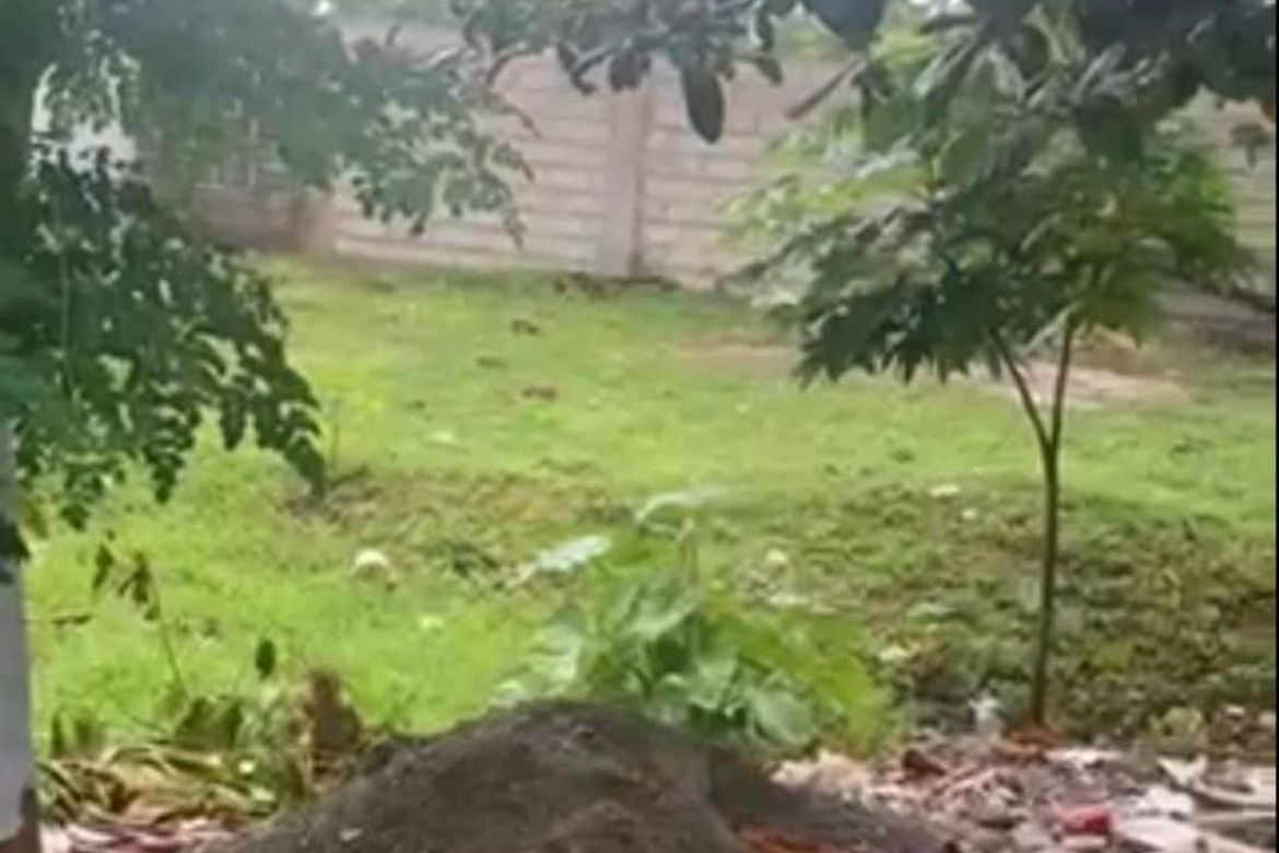 Land for Sale in Subabasbas, Lapu-Lapu, Cebu – photo 3