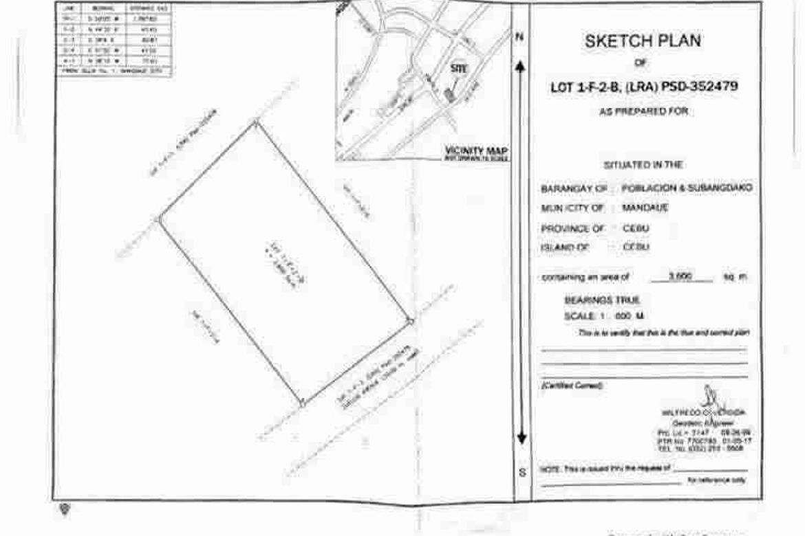 Land for Sale in Subangdaku, Mandaue, Cebu – photo 4