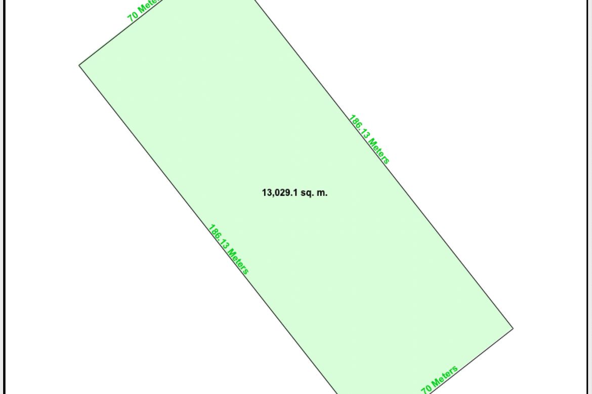 Land for Sale in Subangdaku, Mandaue, Cebu – photo 3