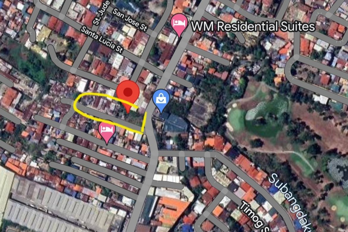 Land for Sale in Subangdaku, Mandaue, Cebu – photo 2