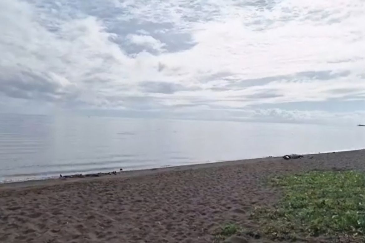 Land for Sale in Subukin, San Juan, Batangas – photo 6