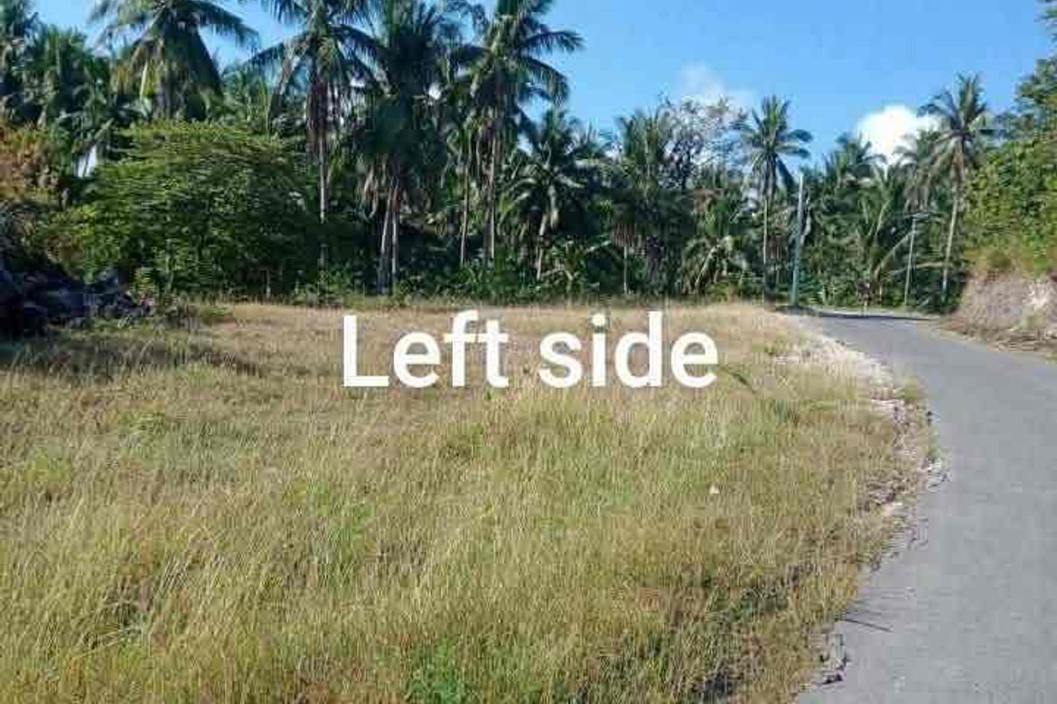 Land for Sale in Subukin, San Juan, Batangas – photo 4