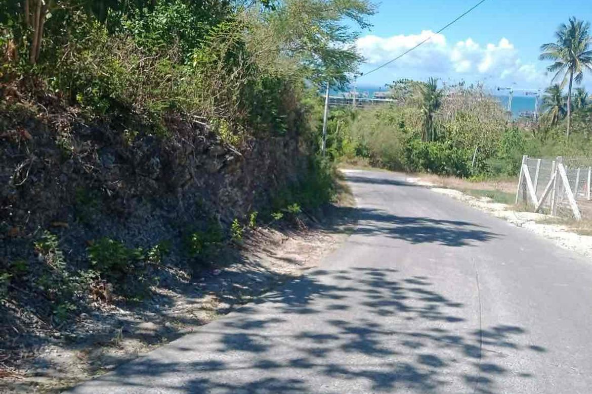 Land for Sale in Subukin, San Juan, Batangas – photo 6