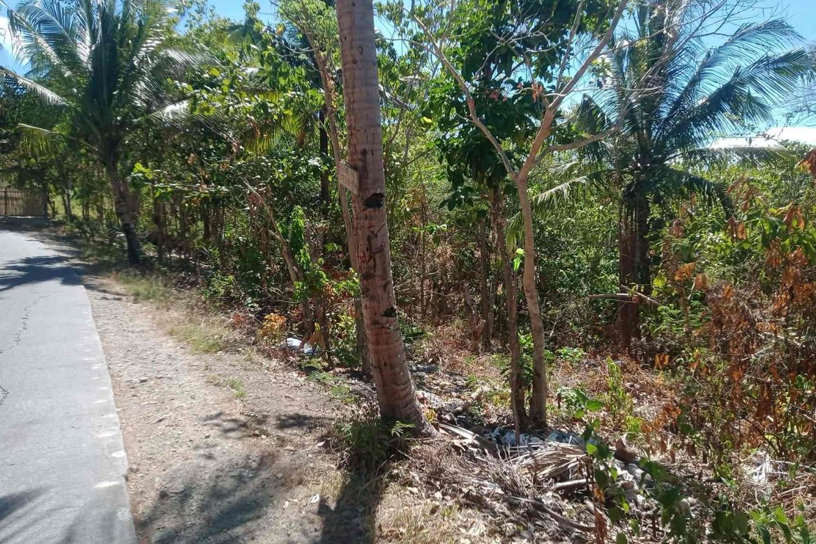 Land for Sale in Subukin, San Juan, Batangas – photo 7