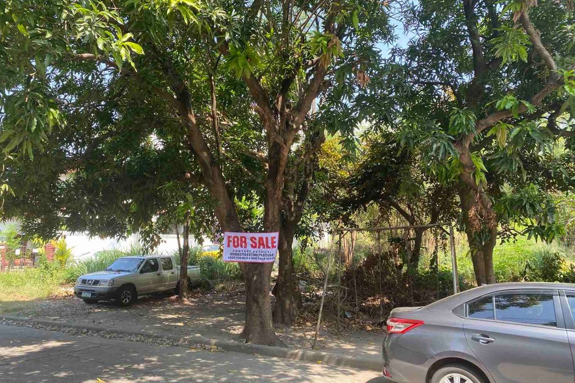 Land for Sale in Sucat, Muntinlupa, Metro Manila – photo 2