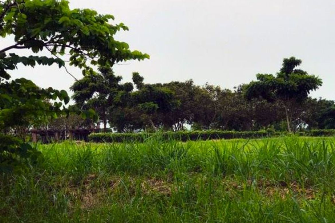 Land for Sale in Sucat, Muntinlupa, Metro Manila – photo 4