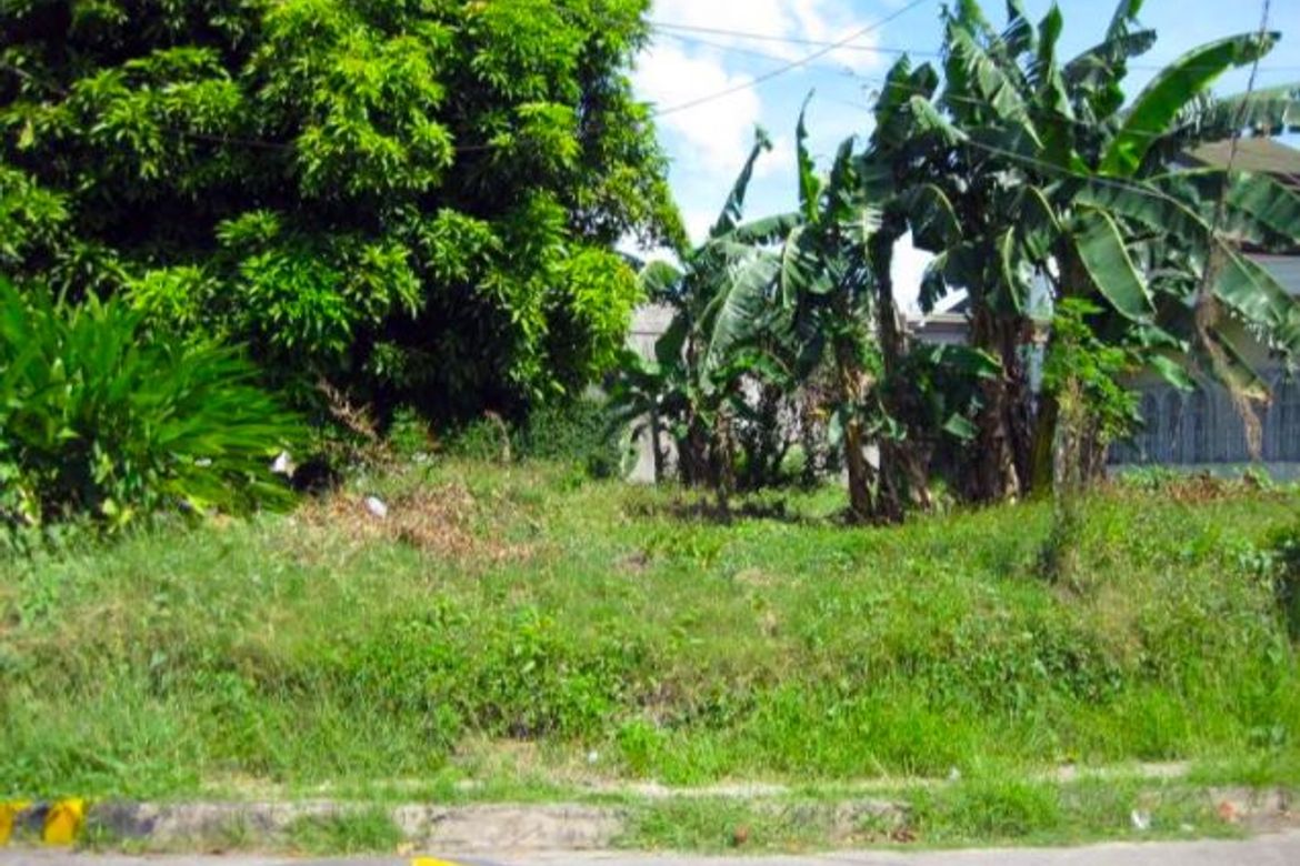 Land for Sale in Sucat, Muntinlupa, Metro Manila – photo 2