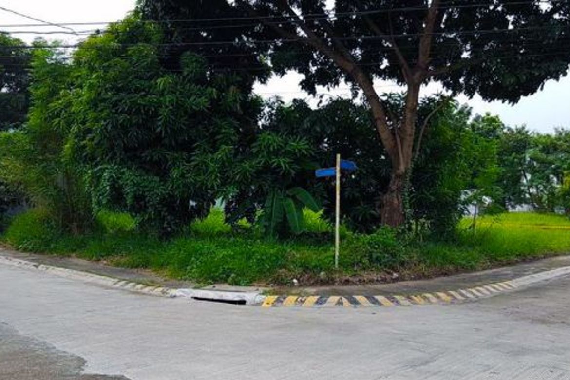 Land for Sale in Sucat, Muntinlupa, Metro Manila
