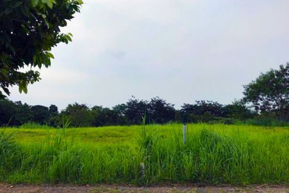 Land for Sale in Sucat, Muntinlupa, Metro Manila – photo 8
