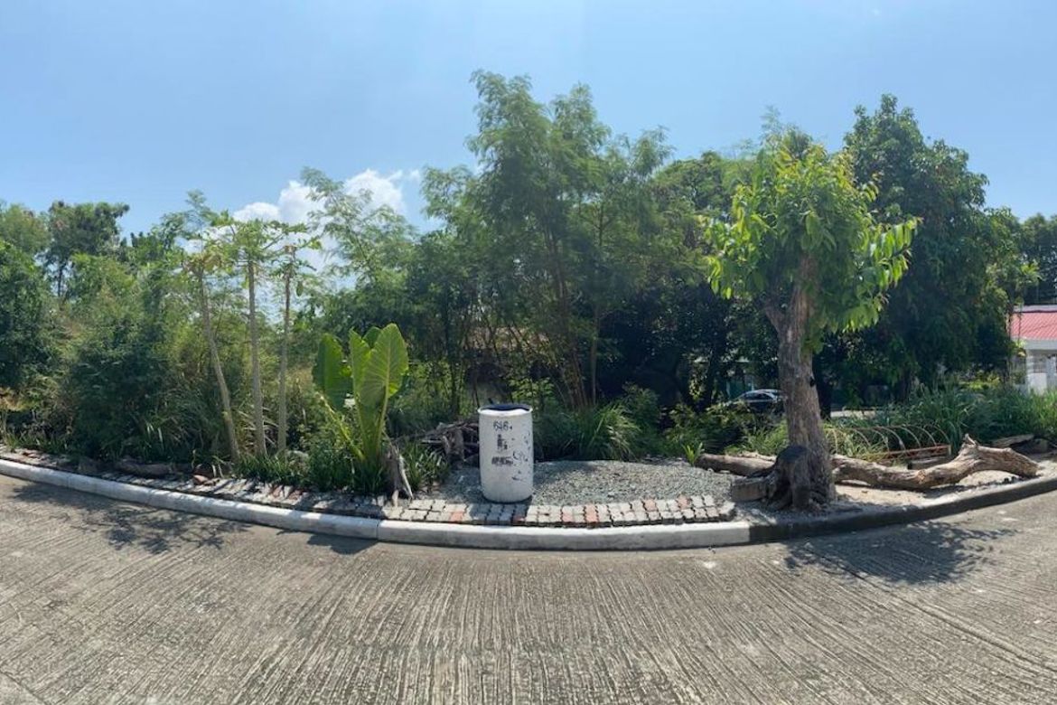 Land for Sale in Sucat, Muntinlupa, Metro Manila – photo 6