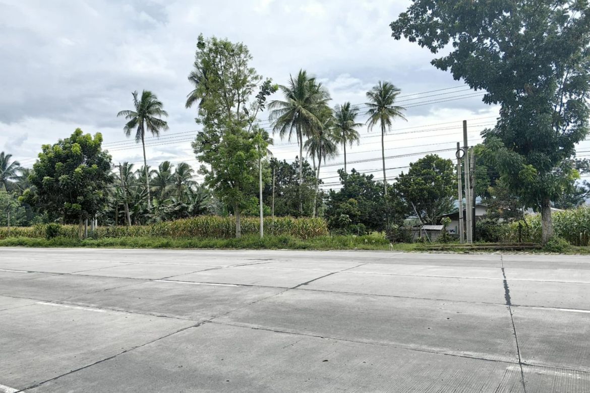Land for Sale in Sulit, Polomolok, South Cotabato