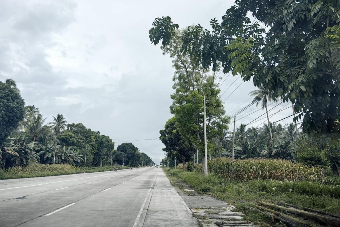 Land for Sale in Sulit, Polomolok, South Cotabato – photo 3