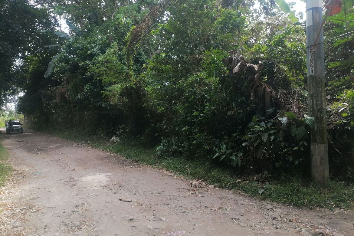Land for Sale in Sulodpan, Bacong, Negros Oriental