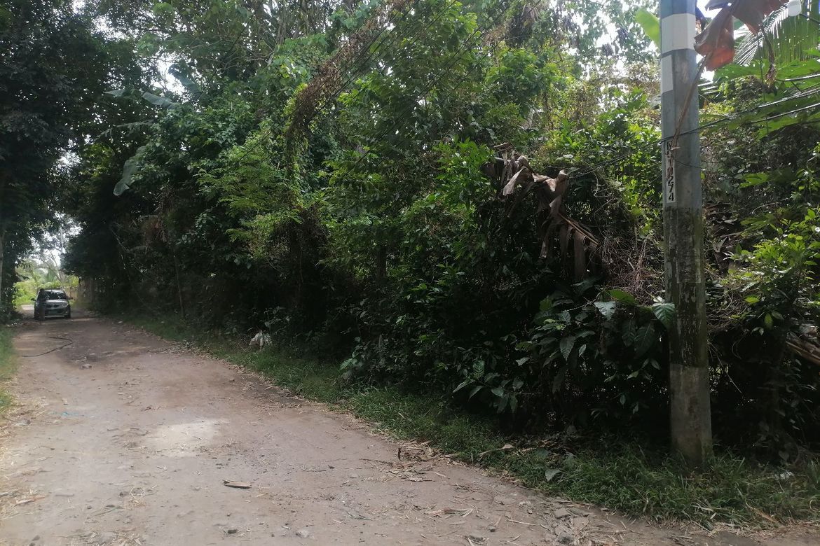 Land for Sale in Sulodpan, Bacong, Negros Oriental – photo 5