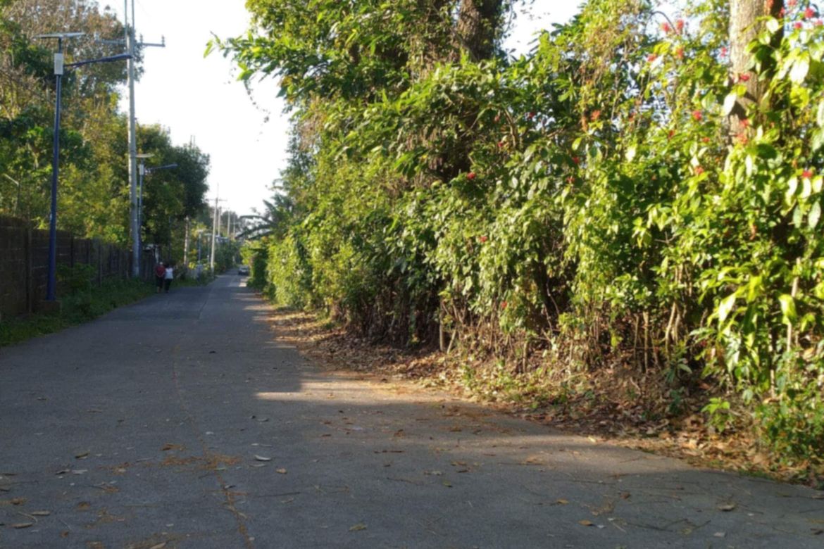 Land for Sale in Sulsugin, Alfonso, Cavite