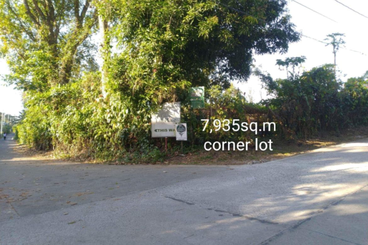 Land for Sale in Sulsugin, Alfonso, Cavite – photo 5