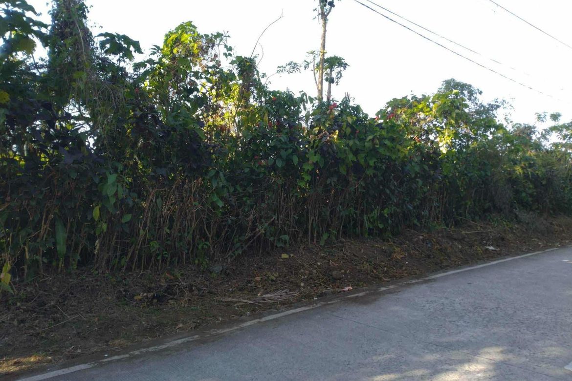 Land for Sale in Sulsugin, Alfonso, Cavite – photo 3