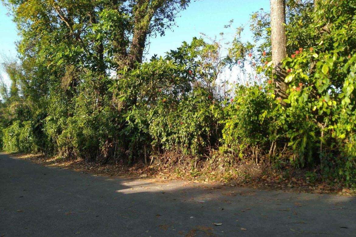 Land for Sale in Sulsugin, Alfonso, Cavite – photo 5
