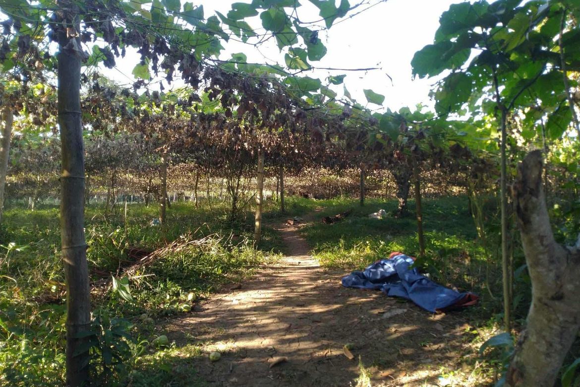 Land for Sale in Sulsugin, Alfonso, Cavite – photo 6