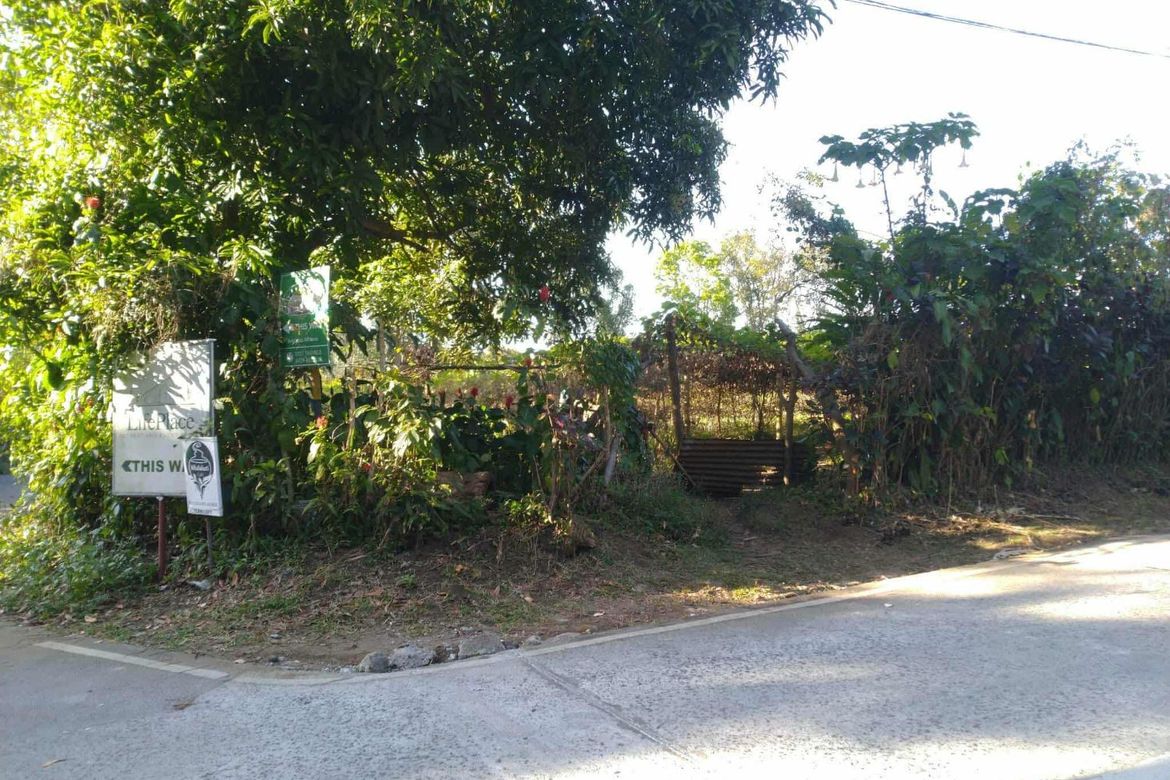 Land for Sale in Sulsugin, Alfonso, Cavite – photo 7