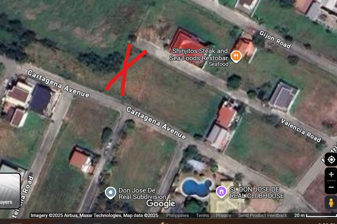 Land for Sale in Sumacab South, Cabanatuan, Nueva Ecija