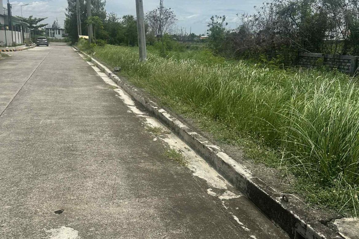 Land for Sale in Sumacab South, Cabanatuan, Nueva Ecija – photo 4