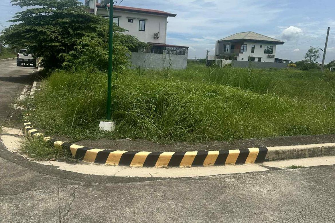 Land for Sale in Sumacab South, Cabanatuan, Nueva Ecija – photo 5
