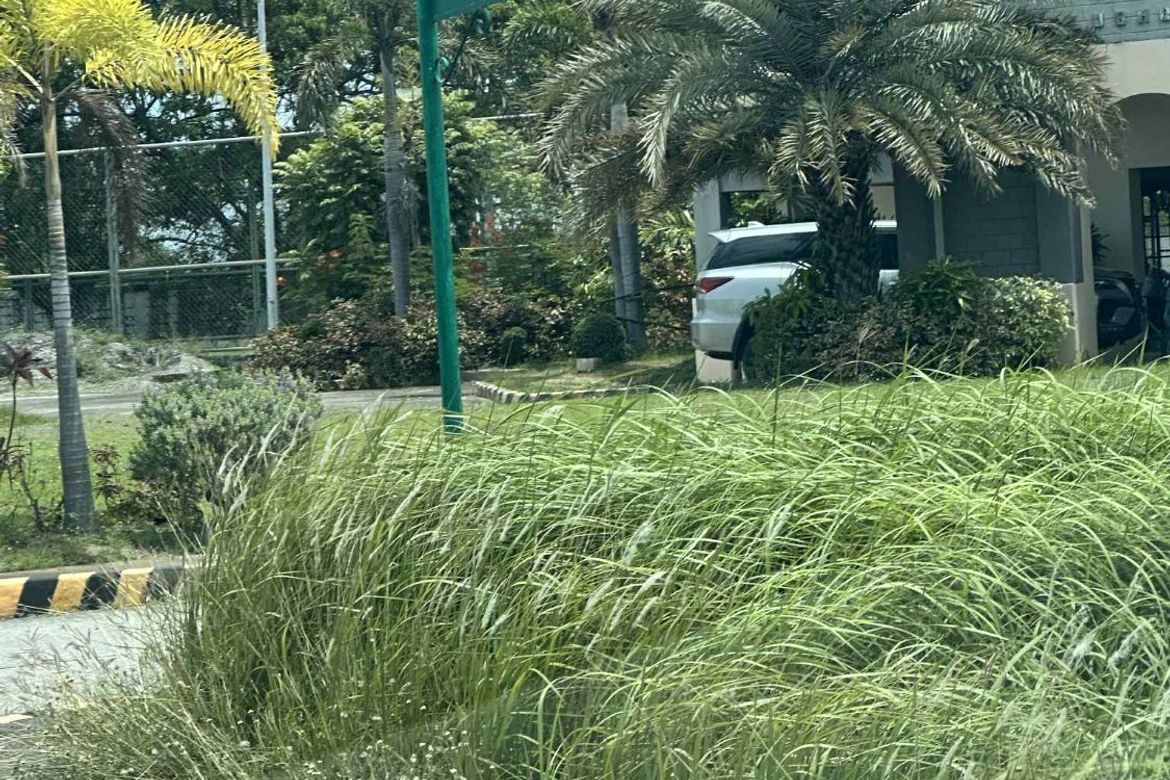 Land for Sale in Sumacab South, Cabanatuan, Nueva Ecija – photo 6