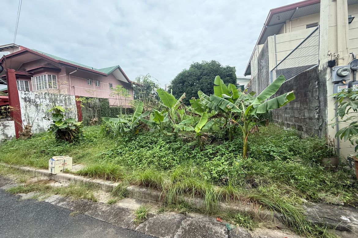 Land for Sale in Sun Valley, Parañaque, Metro Manila