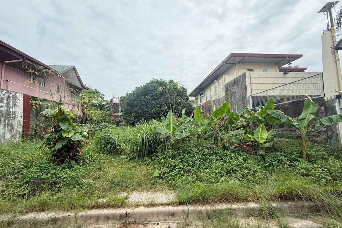 Land for Sale in Sun Valley, Parañaque, Metro Manila – photo 2