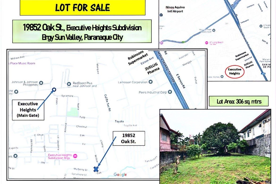 Land for Sale in Sun Valley, Parañaque, Metro Manila – photo 3