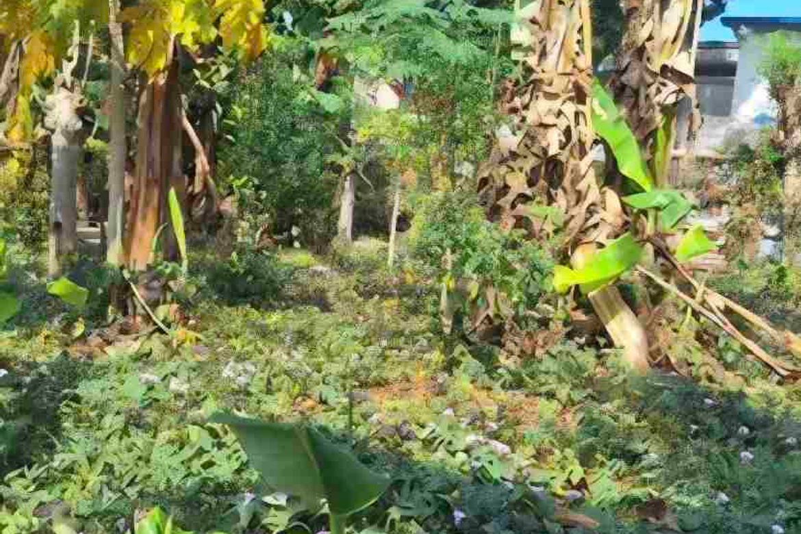 Land for Sale in Sun Valley, Parañaque, Metro Manila