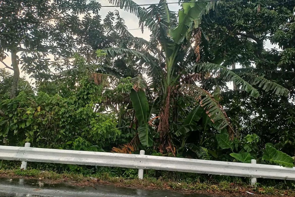 Land for Sale in Sungay North, Tagaytay, Cavite