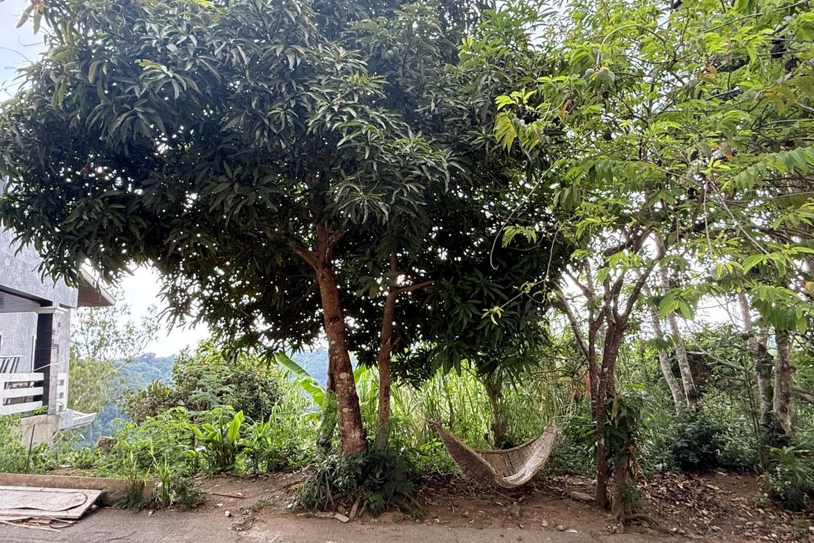 Land for Sale in Sungay North, Tagaytay, Cavite – photo 3
