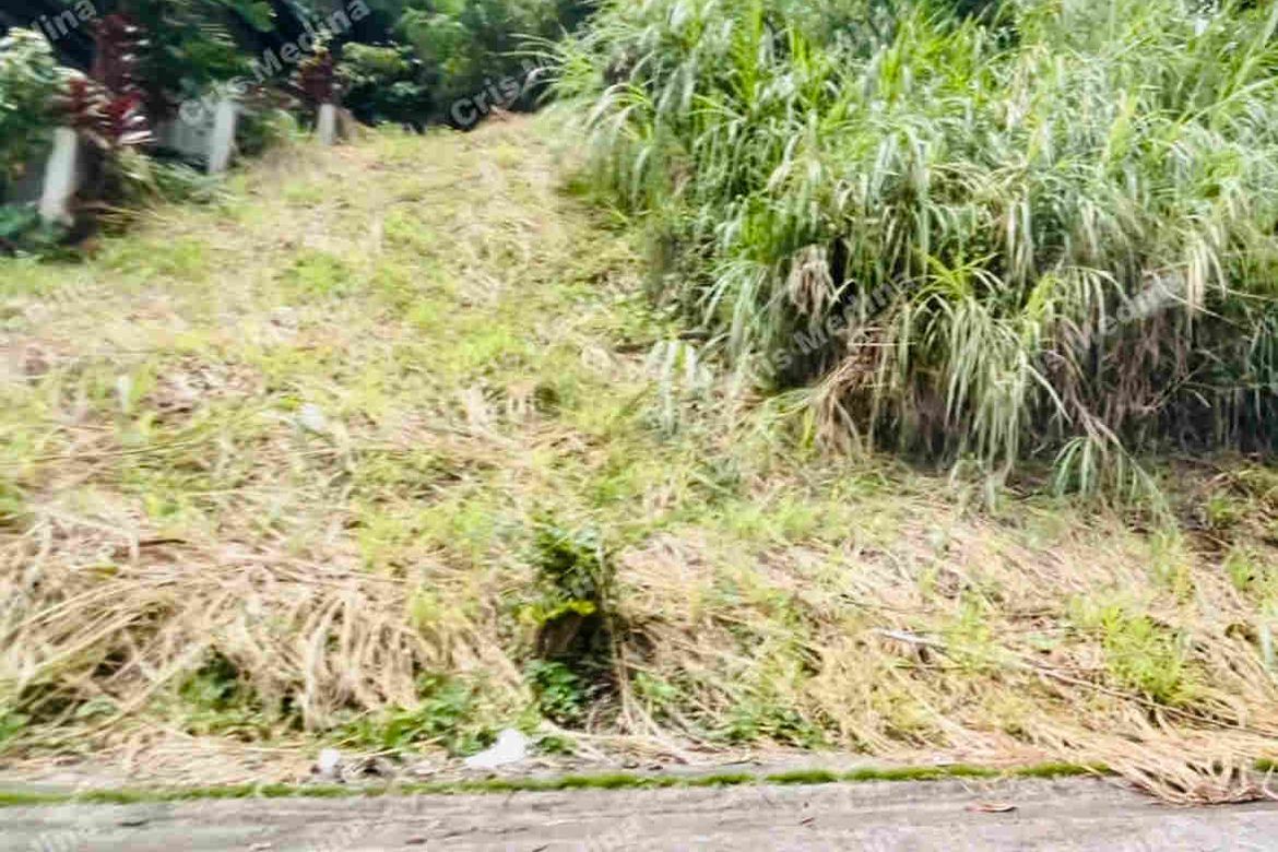 Land for Sale in Sungay North, Tagaytay, Cavite – photo 5