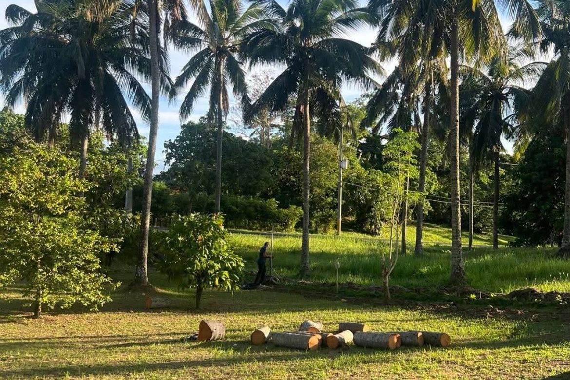Land for Sale in Suplang, Tanauan, Batangas – photo 4